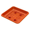 Sottovaso Quadro Laurus 25Cm Terracotta- 6,0 Pz