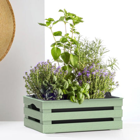 Cassetta Portafiori 'Tina Flower' Cm 25 X 15,5 X H.10,5 - Bama