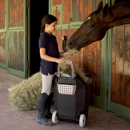 Carriola Multiuso 'Kart' 76 Lt, Cm 59X50X72H - Col. Muschio - Bama