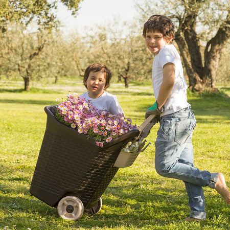 Carriola Multiuso 'Kart' 76 Lt, Cm 59X50X72H - Col. Cacao - Bama