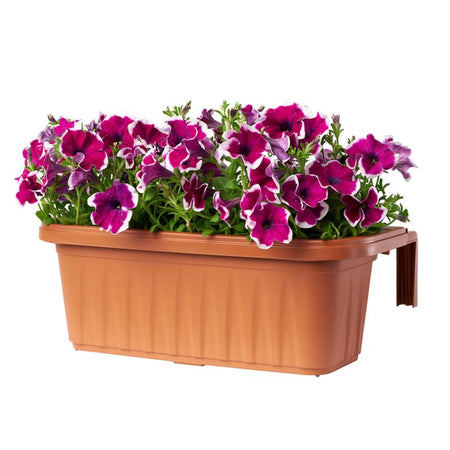 Fioriera Rondine Bama - Pp Terracotta Cm 60X20 H.Cm 18,5- 2 Pezzi