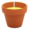 Vasetto Cotto Con Citronella Cf Da 6 Pezzi - D.7 X H.6 Cm- 24 Confezione - Senza Marca