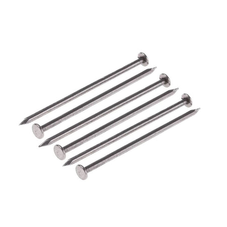 C Chiodi Testa Piana Bl.100G 10X25- 6,0 Pz