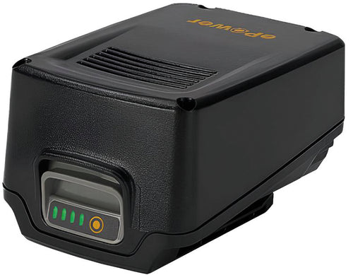 Alpina Batteria E24 20 V - 4,0 Ah