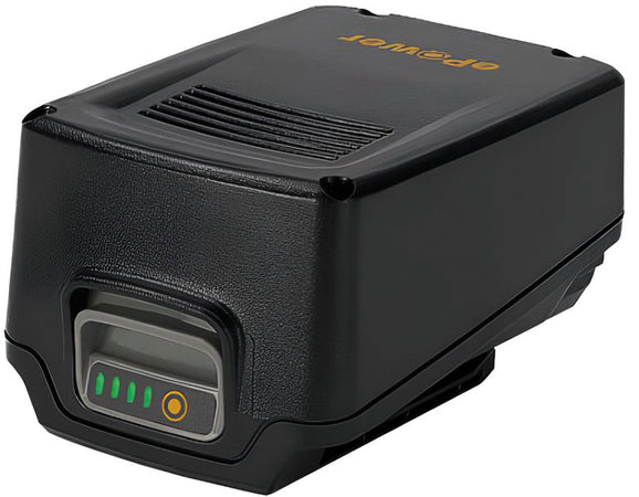 Alpina Batteria E24 20 V - 4,0 Ah