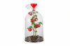 Telo Tessuto Tnt Cappuccio Protettivo Sacco Bianco Gr.30- - Ø Cm.100X120H. Peso Gr.30/Mq Conf. Da 3 Pz. - 6 Pezzi T-Rex
