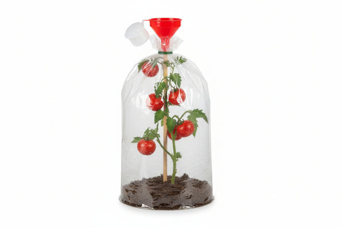 Telo Tessuto Tnt Cappuccio Protettivo Sacco Bianco Gr.30- - Ø Cm.100X120H. Peso Gr.30/Mq Conf. Da 3 Pz. - 6 Pezzi T-Rex