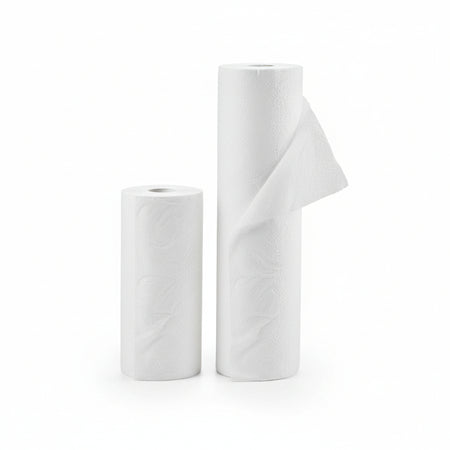 Telo Tessuto Tnt In Rotoli Bianco Gr.17- - Cm.160H. Rotolo Da Mt.250 Peso Gr.17/Mq - 1 Rotolo T-Rex