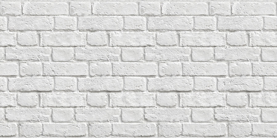 Lastra Decorativa Serigrafata Cm. 50X100 - Effetto Muro 15.00 Pz