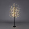 Albero luminoso Faggio tronco lungo rami a microled luce calda da interno ed esterno
