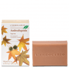 Sapone Ambraliquida