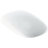 Sedile Coprivaso Copriwater Geberit Citterio Chiusura Ammortizzata Softclose