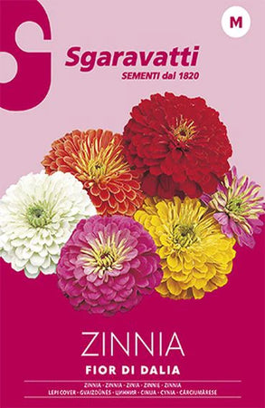 Semi Per Prato Universale Zinnia Fior Di Dahlia- 20 Pezzi - Sgaravatti