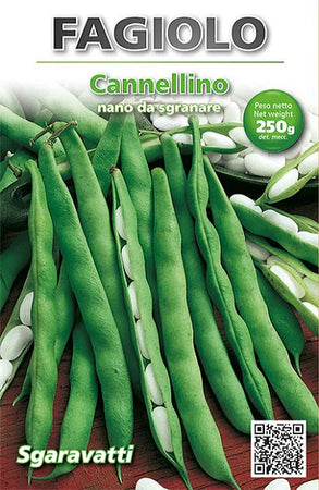 Semi Per Fagioli Fagiolo Nano Cannellino - Gr 250 - Sgaravatti