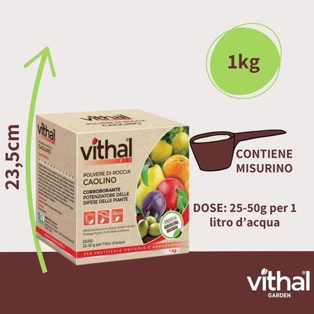 Polvere Di Roccia Caolino Vithal Bio Kg.1 Vithal