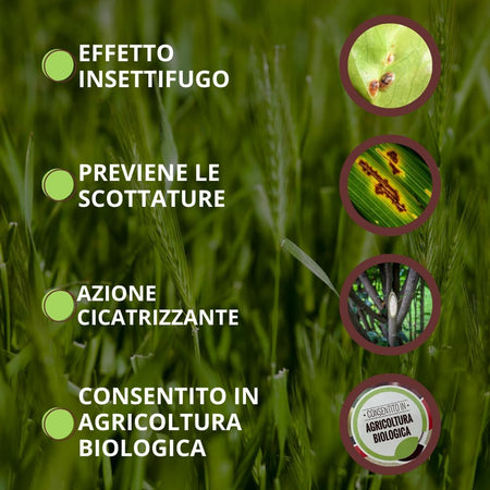 Polvere Di Roccia Caolino Vithal Bio Kg.1 Vithal