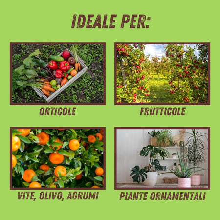 Polvere Di Roccia Caolino Vithal Bio Kg.1 Vithal