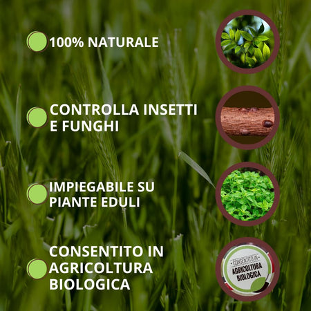Liquido Protezione Totale 'Equisetum E Urtica' Ml. 750 - Vithal