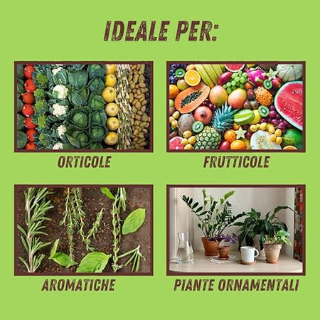 Liquido Bio Barriera Funghi Ml. 750 - Vithal