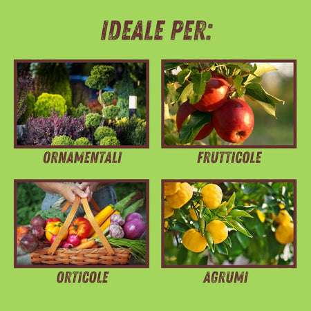 Sapone Molle Lt. 1 - Vithal