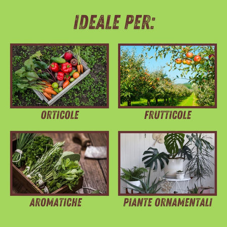 Vithal Sapone Molle Ml. 250