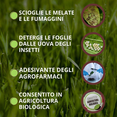 Sapone Molle Super K Plus Vithal Bio- - Gr.250 - 3 Pezzi Vithal