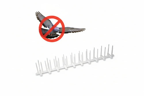 Dissuasore Per Volatili 40 Spilli Cm. 50 100 Pezzi