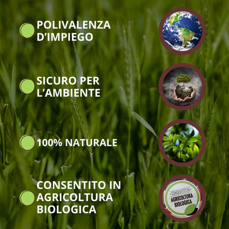 Vithal Barriera Funghi Ml. 750