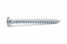 Vite Truciolare Tsp Cava Pz Int. Filettata Acciaio Zincato In Blister- - Ø Mm.3,5X16 In Blister Pz.50 (A) - 5 Blister Ambrovit
