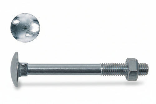 Cavicchia Acciaio Testa Tonda Con Dado In Blister- - Ø Mm.10X60 In Blister Pz.5 (C) - 5 Blister Ambrovit