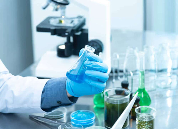 Guanti Nitrile Monouso 'N73' Extra Strong (7 Gr) - Tg. Xl - Reflexx