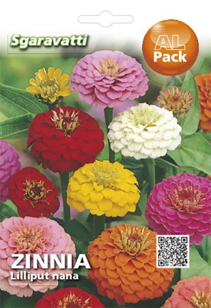 Semi Per Prato Universale Fior Di Zinnia Lilliput Nanna- 20 Pezzi - Sgaravatti