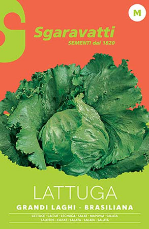 Semi Per Ortaggi E Vegetali Lattuga Grandi Laghi - Brasiliana- 20 Pezzi - Sgaravatti