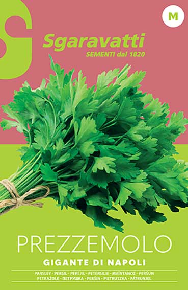 Semi Per Ortaggi E Vegetali Prezzemolo Gigante Napoli 20 Pezzi - Sgaravatti