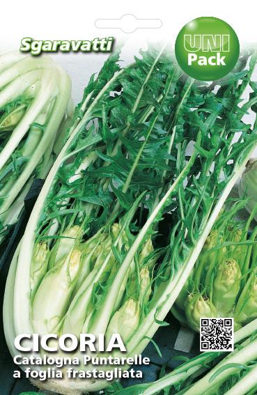 Semi Per Ortaggi E Vegetali Cicoria Catalogna Puntarelle Frastagliate 20 Pezzi - Sgaravatti