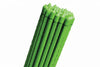 Canna In Acciaio Plastificata- - Mm.16X2400H. - 50 Pezzi T-Rex