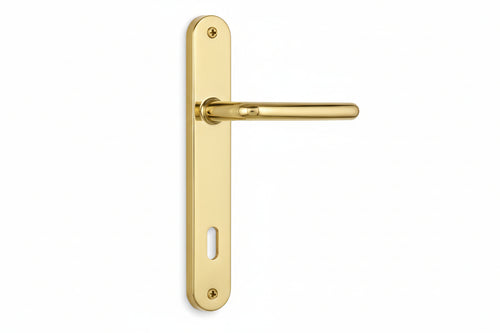Maniglia Torino Con Placca In Zama Finitura Ottone Lucido- - Mm.70 Foro Normale - 1 Paio