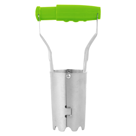 Pianta Bulbi Cm. 12,5 X H. 23 - Lif