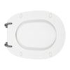 Sedile Wc Per Olympia Vaso Confort Forma 6- Champagne - Cerniere C Espansi- Cw- Pezzi 1