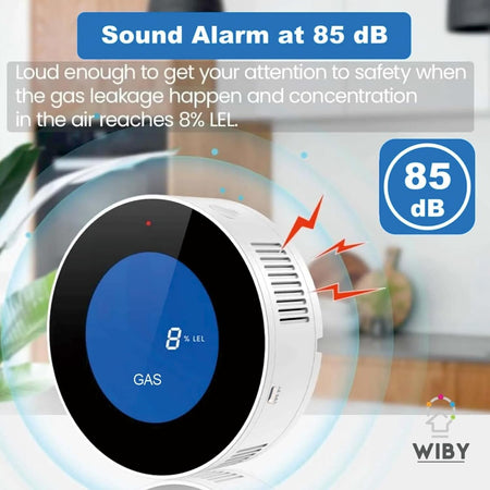 Rilevatore di gas WiFi,gas naturale carbone metano GPL sensore allarme gas