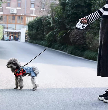 Astorpet Cinghia estensibile retrattile con luce a LED nastro fle RGVVJ