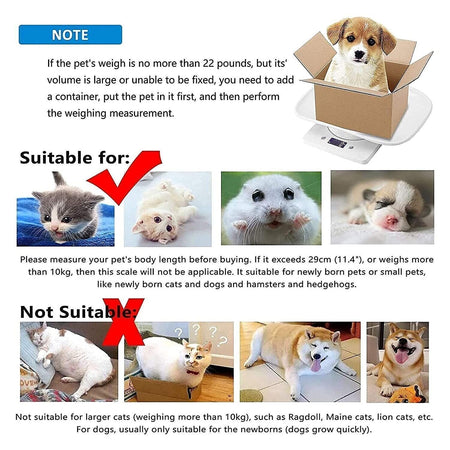 Bilancia per animali domestici, per cuccioli e gattini, misura piccoli animali