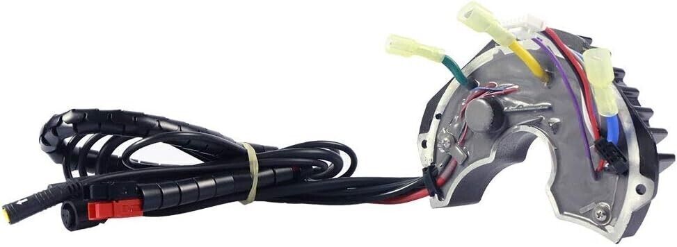 Bafang BBS Controller Electric Bike Mid-Motor 2V 1000W Controllo Ebike Bici