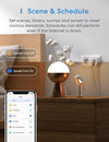 Meross Presa Smart WiFi, Presa Intelligente WiFi 16A 3840W, Smart Plug (Type F)