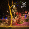 Decorazioni Natalizie Luci Stellari per Esterno, 317 LED 10 Piedi X 9 Luci