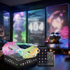 Luci per tende, intelligenti 240 LED, Luci che cambiano colore dinamiche faidate