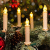 Candele con telecomando, batterie AA e clip impermeabile per feste (30 luci)