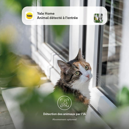 Yale Campanello Smart Bianco, Visualizzazione Live Full HD, Audio bidirezionale