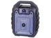 XFEST ALTOPARLANTE AMPLIFICATO PORTATILE 15W TREVI XF 250 Karaoke