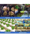 Pompa ad Aria per Acquario Simple deluxe con doppia Uscita del Flusso d'Aria